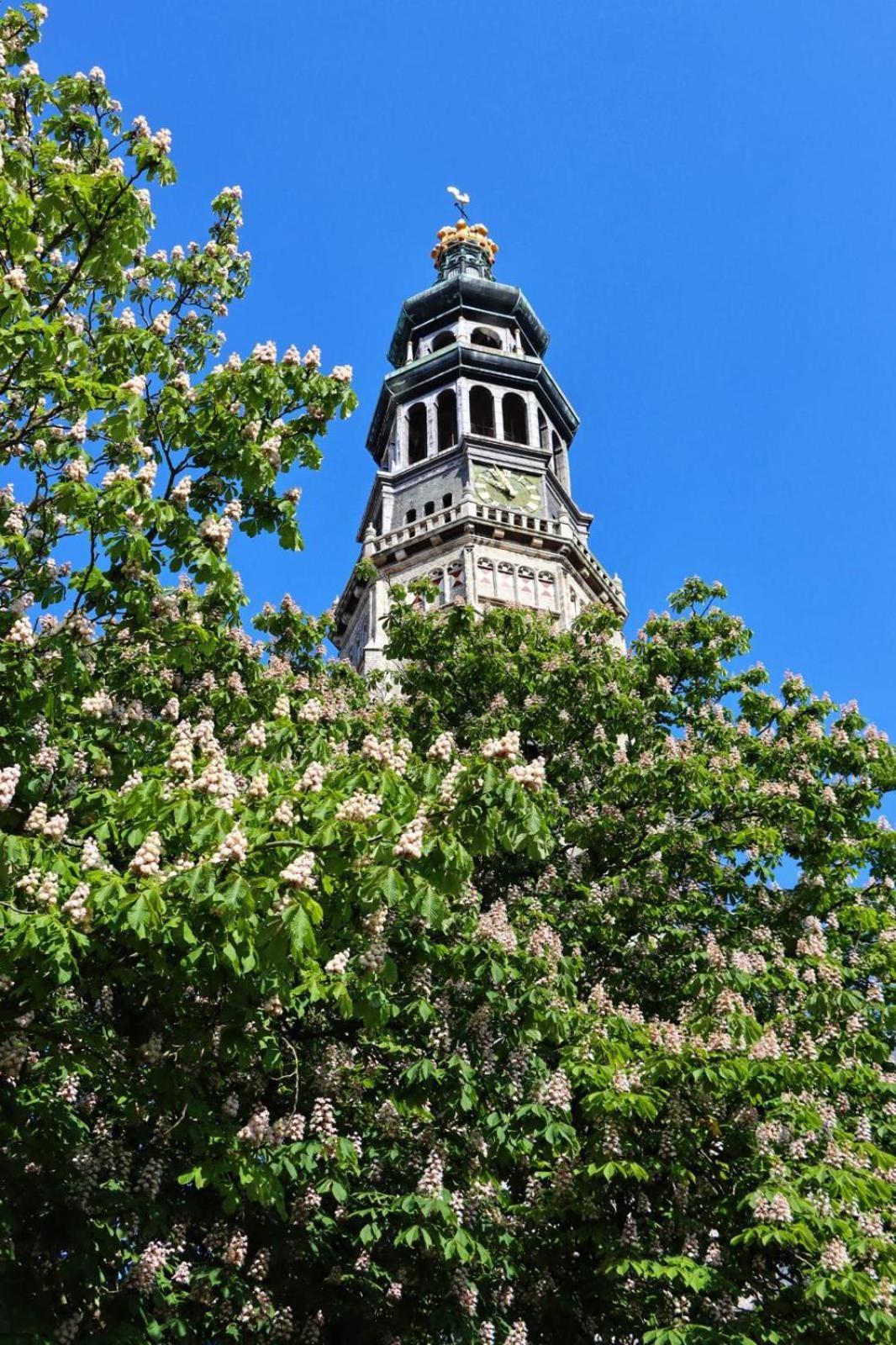 Anno 1706 Apartments Middelburg Buitenkant foto